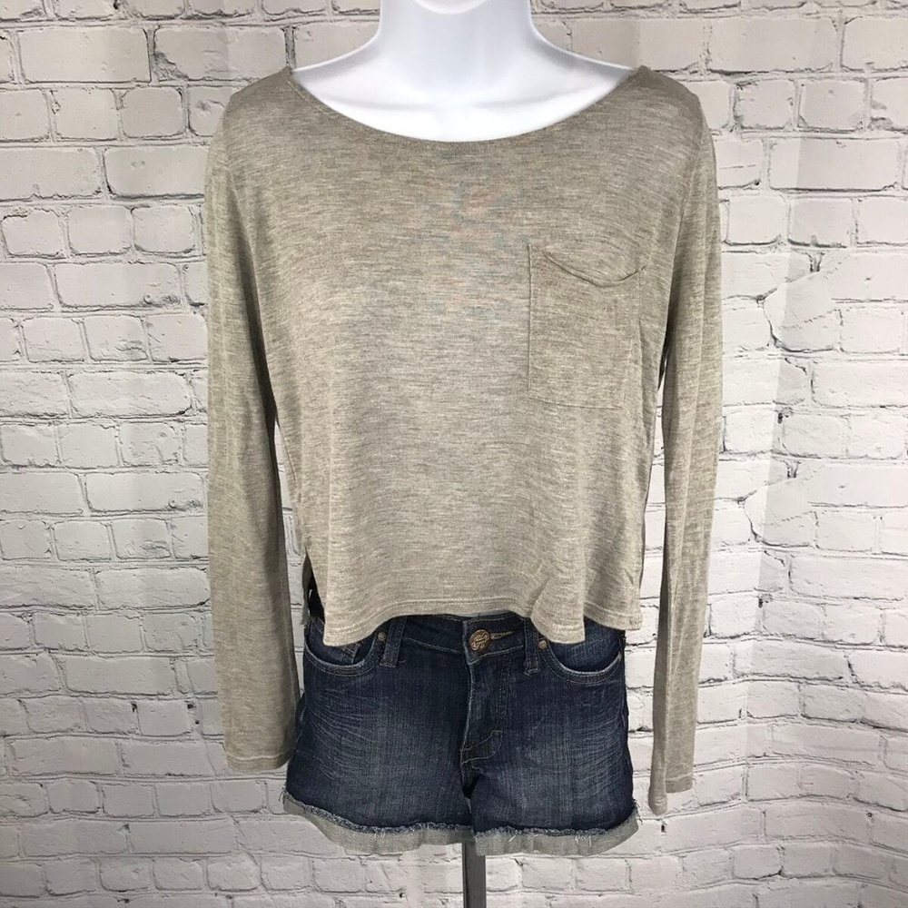 Daydreamer LA Long Sleeve Gray Crop Top Size S